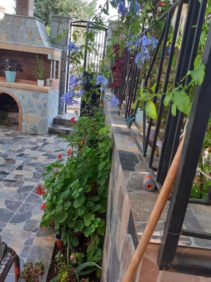 Villa Reshat Caca คซามิล ภายนอก รูปภาพ